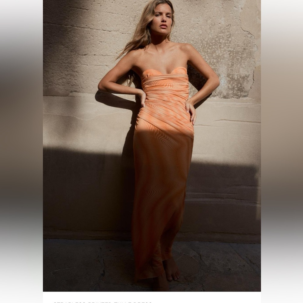Beautiful Zara Printed Tulle Dress - Picture 2 of 8